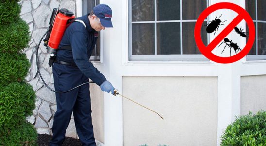 Yumurtalık Karınca İlaçlama böcek ilaçlama ve haşere kontrolü — ilaclama-tr.com